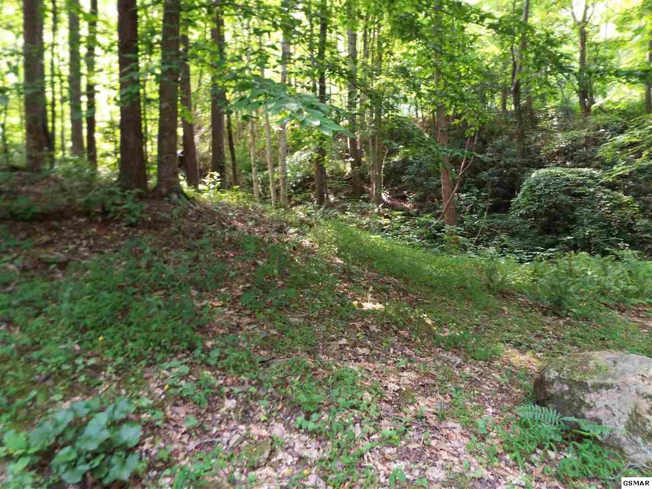 231 Trinity Way Del Rio, TN 37727 - Photo 12 of 29