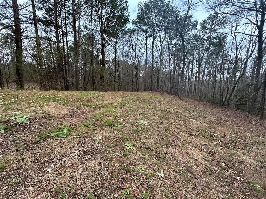 1089 Damascus Road Ball Ground, GA 30107 - Photo 11 of 27 a view of a yard with large trees