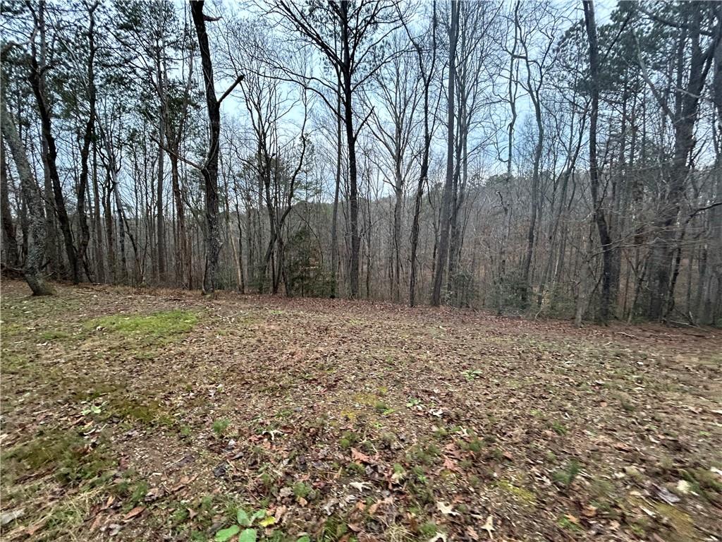 1089 Damascus Road Ball Ground, GA 30107 - Photo 12 of 27 a view of wooden fence