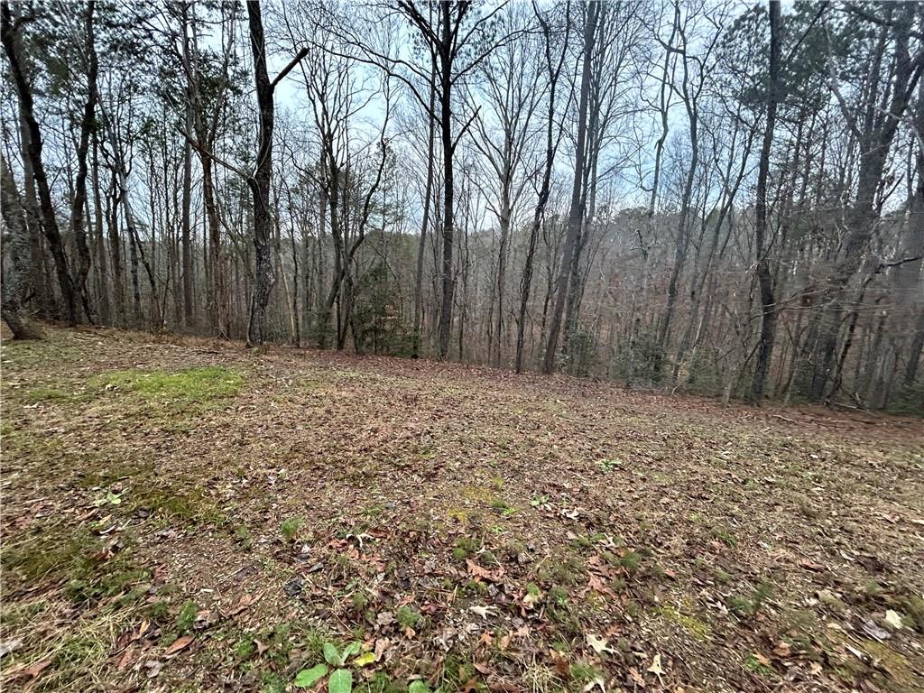 1089 Damascus Road Ball Ground, GA 30107 - Photo 13 of 27 a view of wooden fence
