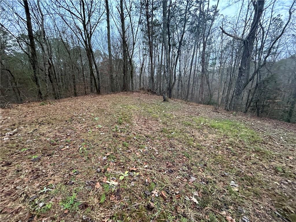 1089 Damascus Road Ball Ground, GA 30107 - Photo 14 of 27 a backyard of a house with large trees