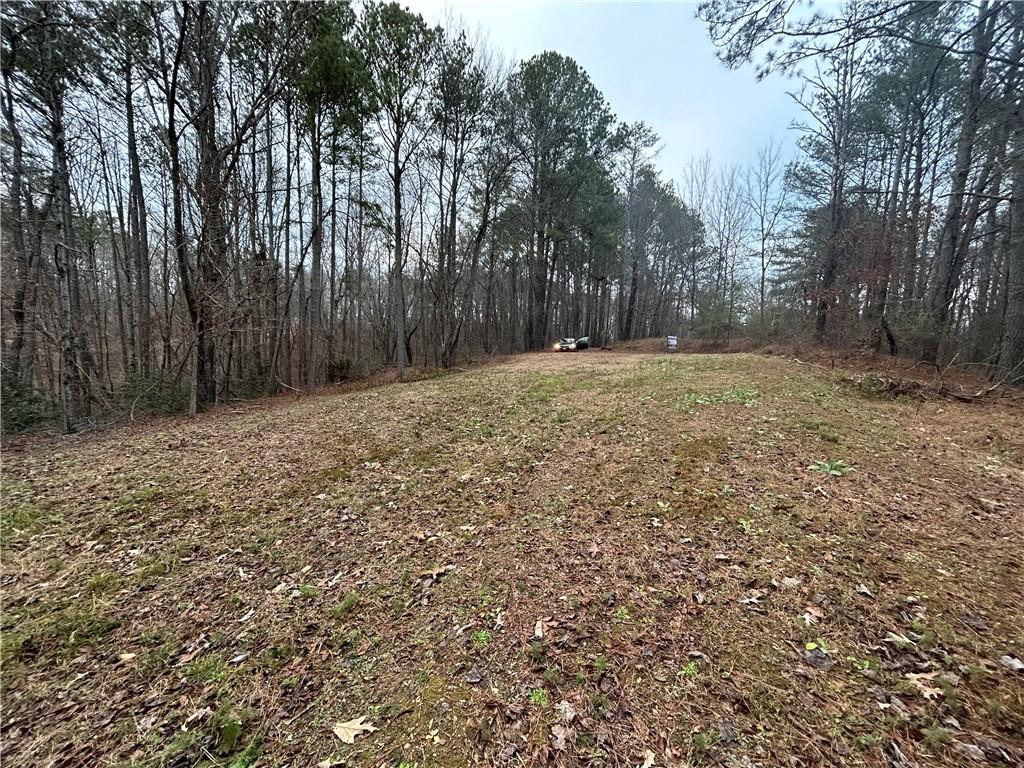 1089 Damascus Road Ball Ground, GA 30107 - Photo 15 of 27 a view of backyard with large trees