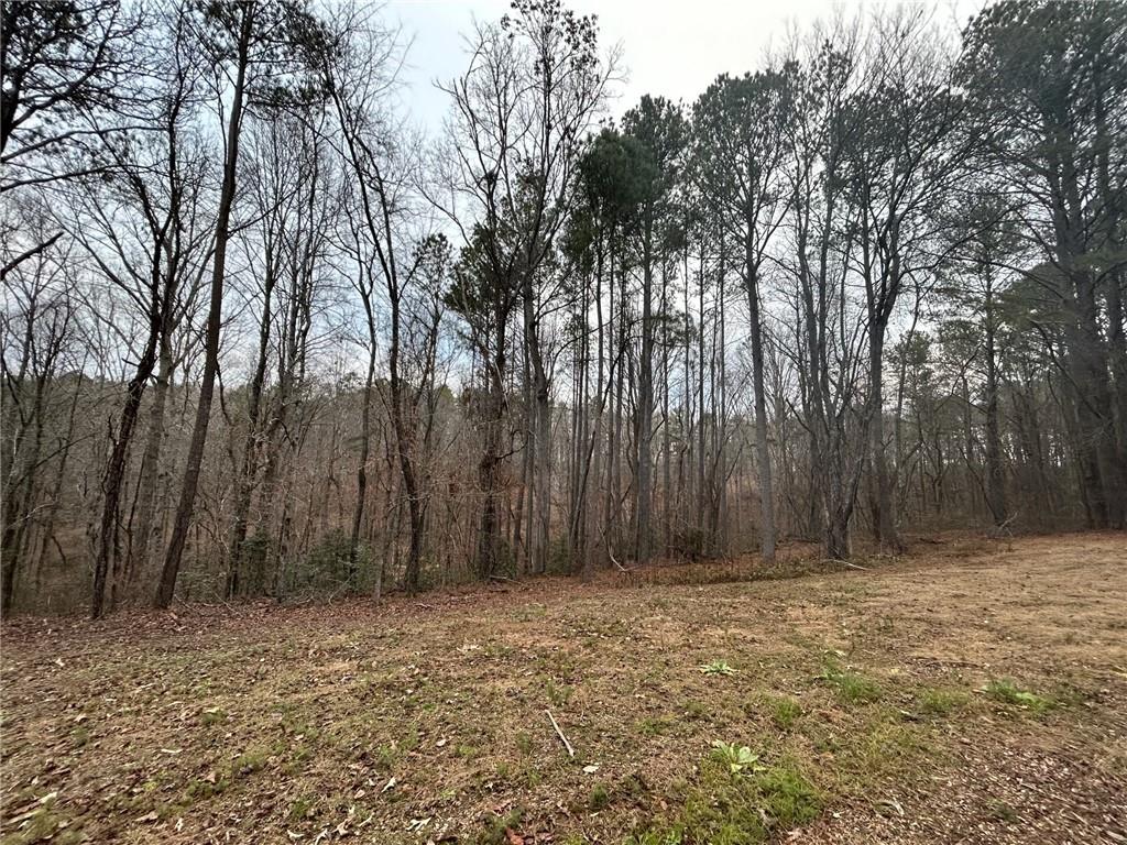 1089 Damascus Road Ball Ground, GA 30107 - Photo 16 of 27 a view of wooden fence in a yard