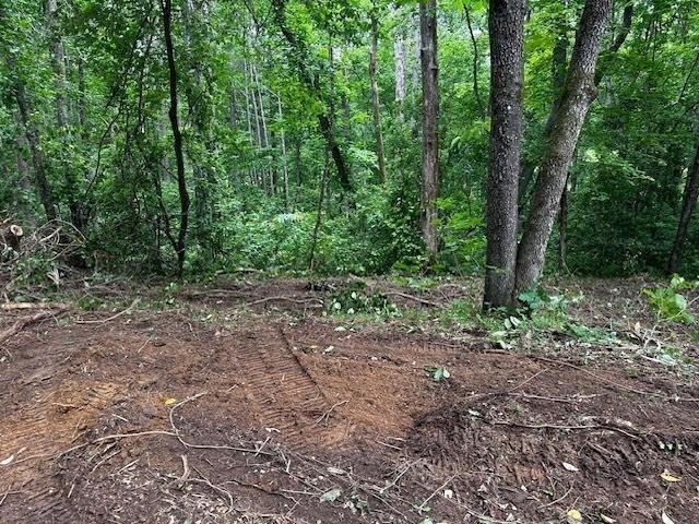 1089 Damascus Road Ball Ground, GA 30107 - Photo 17 of 27 a view of a forest with trees in the background