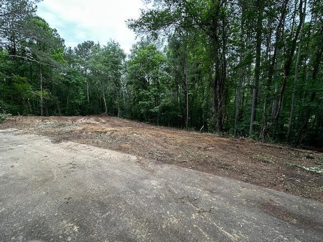 1089 Damascus Road Ball Ground, GA 30107 - Photo 18 of 27 a view of a yard with trees