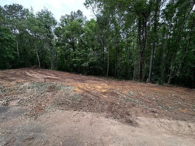 1089 Damascus Road Ball Ground, GA 30107 - Photo 19 of 27 a view of outdoor space with trees