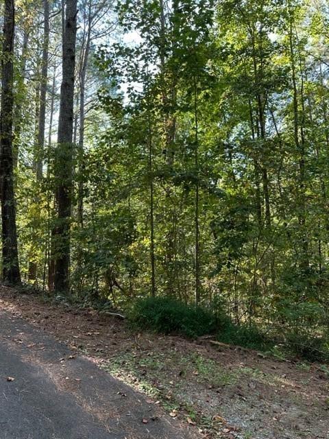 1089 Damascus Road Ball Ground, GA 30107 - Photo 20 of 27 a view of a forest with trees