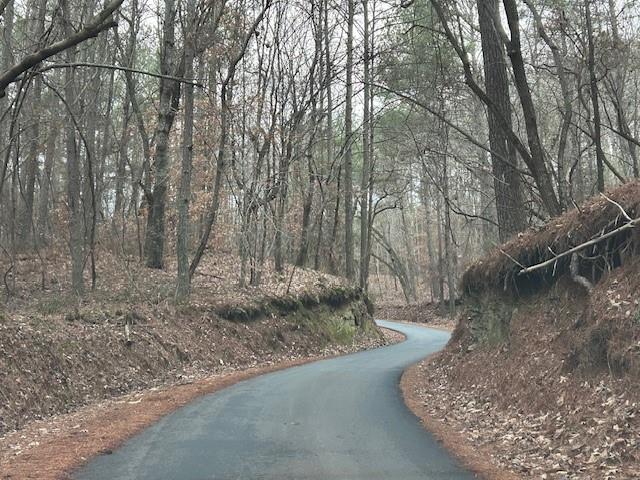 1089 Damascus Road Ball Ground, GA 30107 - Photo 2 of 27 a backyard of a house with lots of green space