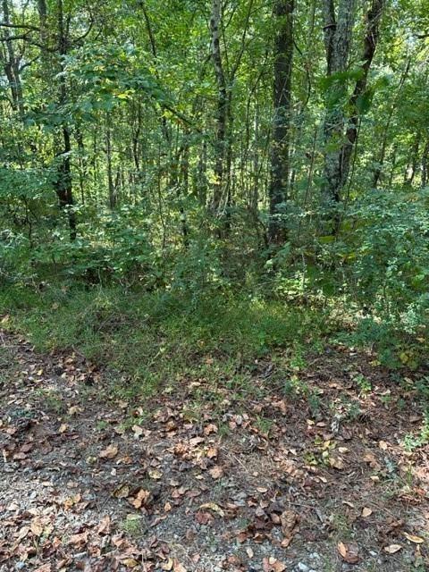 1089 Damascus Road Ball Ground, GA 30107 - Photo 21 of 27 a view of a lush green forest
