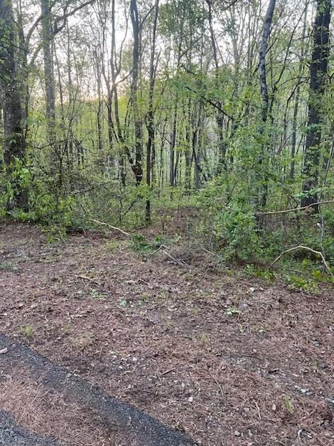 1089 Damascus Road Ball Ground, GA 30107 - Photo 23 of 27 a view of a forest with trees in the background