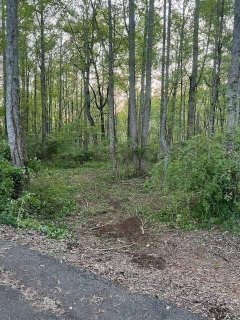 1089 Damascus Road Ball Ground, GA 30107 - Photo 25 of 27 a view of outdoor space and green space