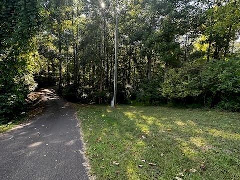 1089 Damascus Road Ball Ground, GA 30107 - Photo 27 of 27 a view of a yard