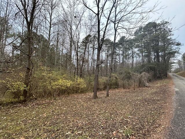 1089 Damascus Road Ball Ground, GA 30107 - Photo 5 of 27 a view of outdoor space with trees