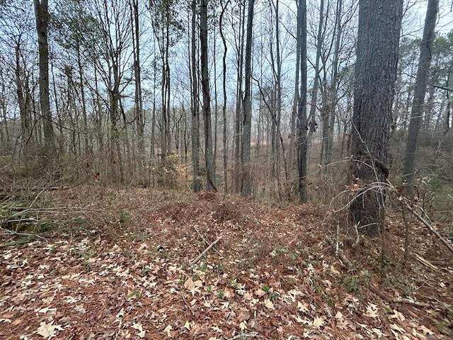 1089 Damascus Road Ball Ground, GA 30107 - Photo 6 of 27 a view of backyard with green space