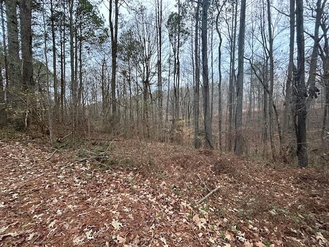 1089 Damascus Road Ball Ground, GA 30107 - Photo 7 of 27 a view of outdoor space with lots of trees