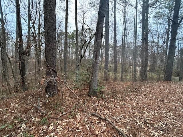1089 Damascus Road Ball Ground, GA 30107 - Photo 8 of 27 a view of a yard with trees