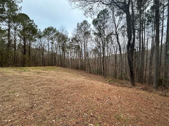 1089 Damascus Road Ball Ground, GA 30107 - Photo 10 of 27 a view of backyard with tree