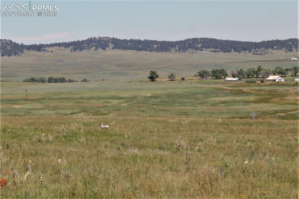 19 Sweet Road Calhan, CO 80808 - Photo 1 of 9 View of mountain feature featuring a rural view