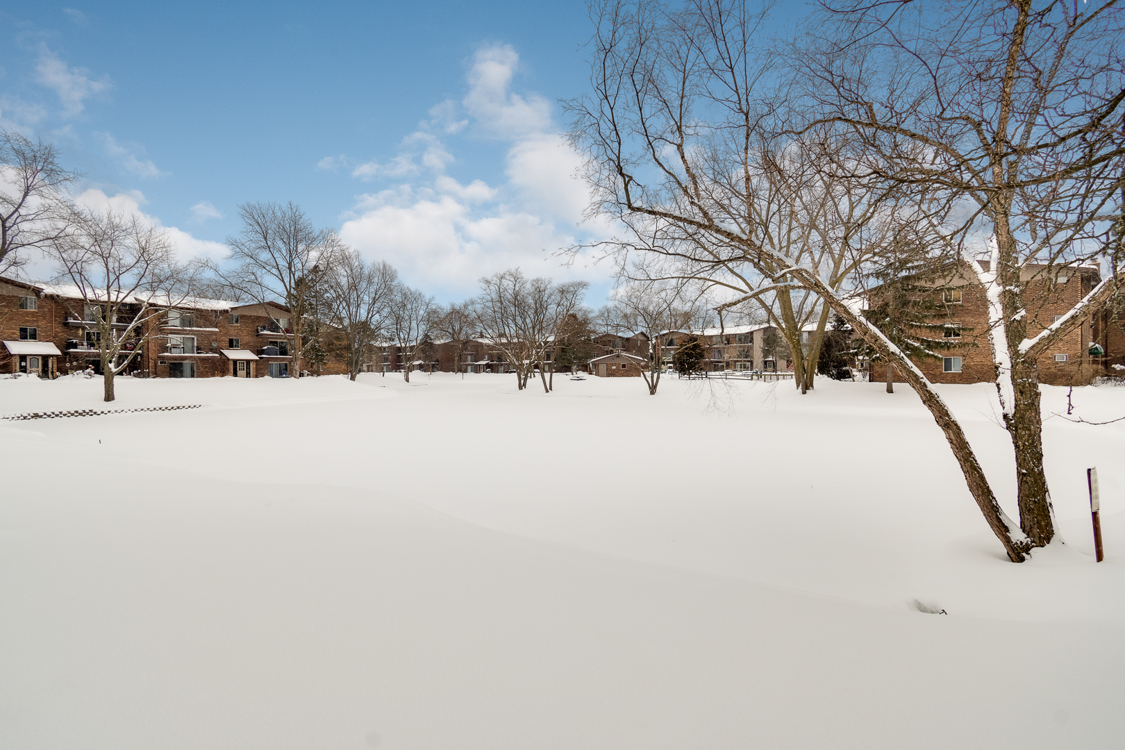 2529 Spring Street, Unit 2706 Woodridge, IL 60517 - Photo 18 of 19