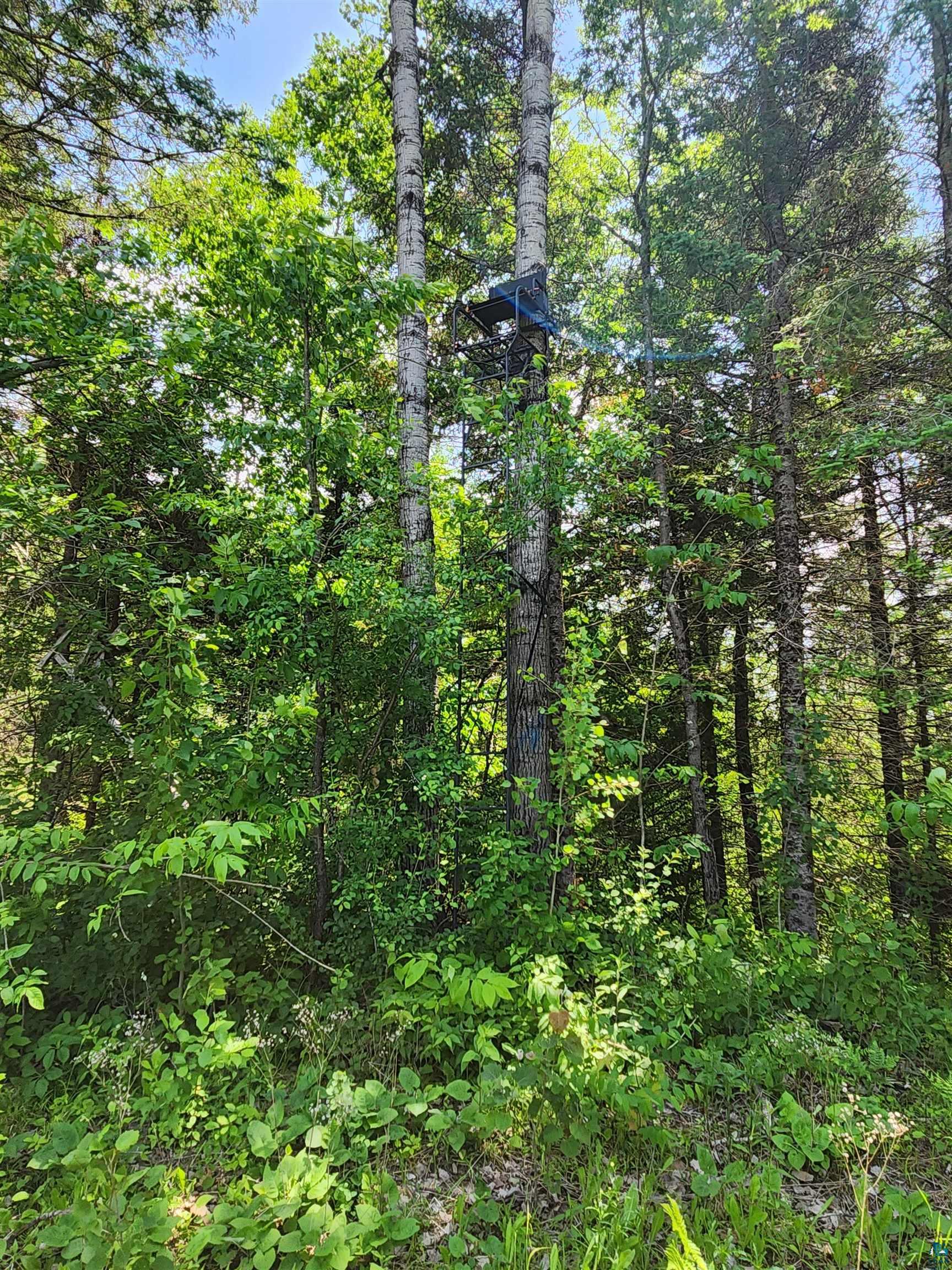 0 North Olson Road Hayward, WI 54843 - Photo 14 of 45