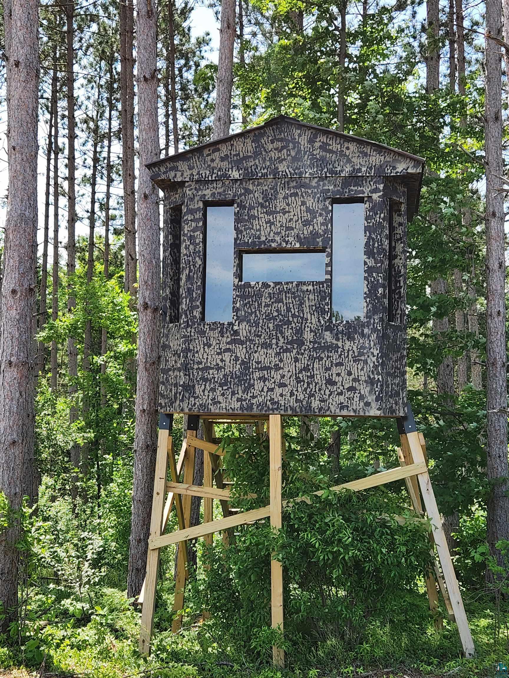 0 North Olson Road Hayward, WI 54843 - Photo 16 of 45