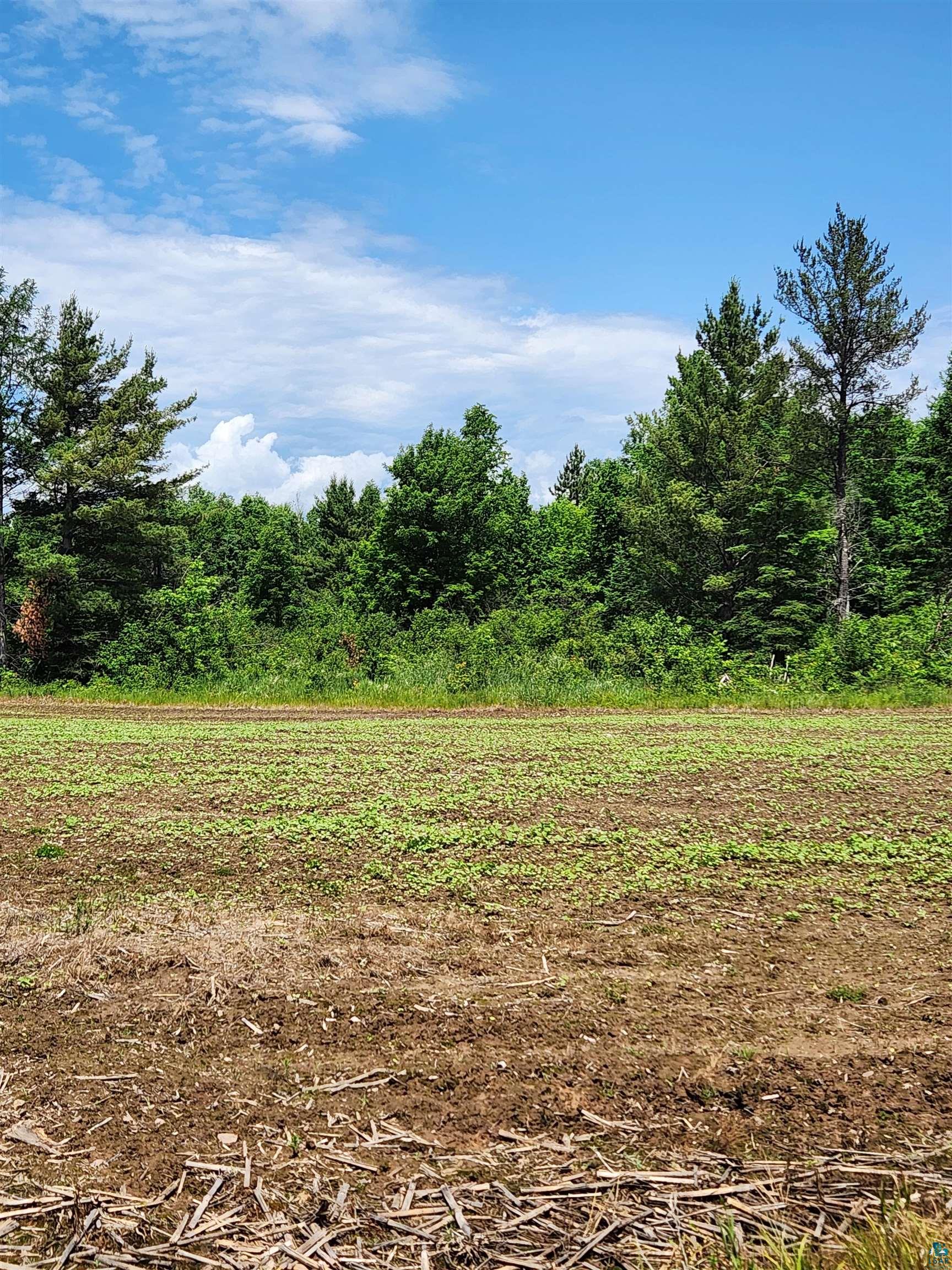 0 North Olson Road Hayward, WI 54843 - Photo 18 of 45