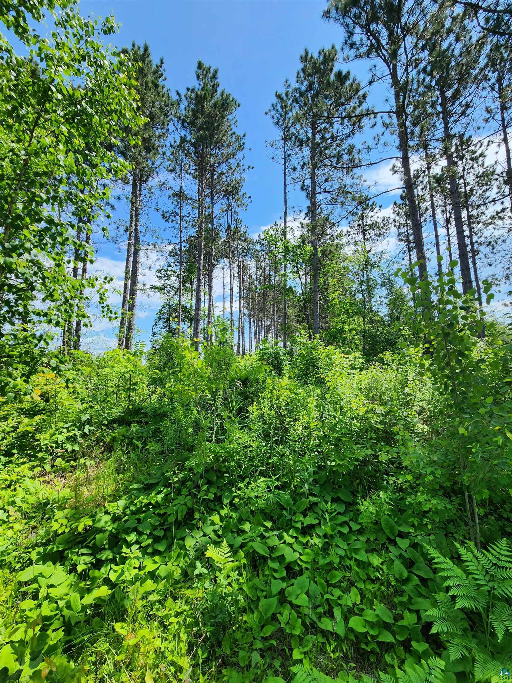 0 North Olson Road Hayward, WI 54843 - Photo 2 of 45