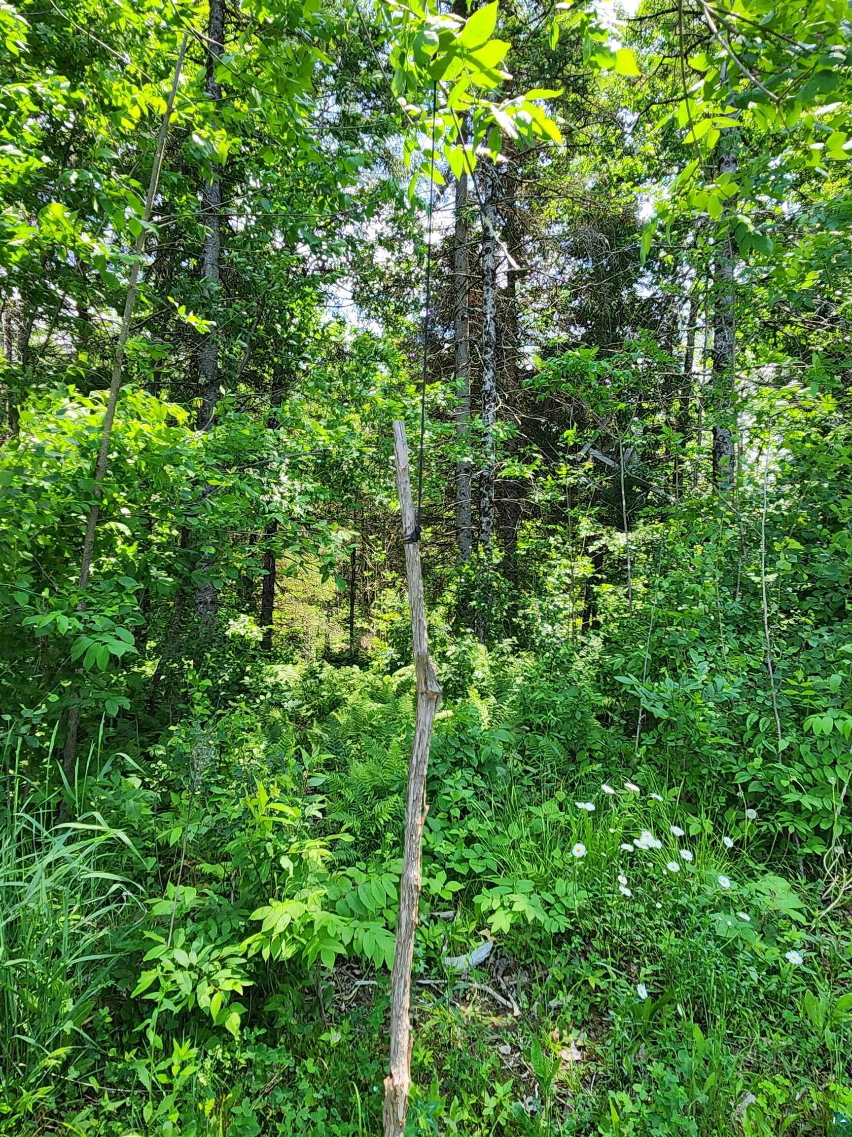 0 North Olson Road Hayward, WI 54843 - Photo 23 of 45