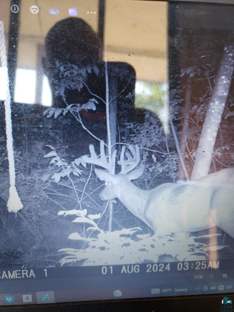 0 North Olson Road Hayward, WI 54843 - Photo 24 of 45