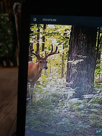 $162,500 | 0 North Olson Road, Hayward, WI 54843