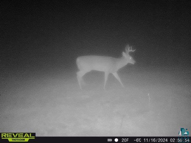 0 North Olson Road Hayward, WI 54843 - Photo 28 of 45