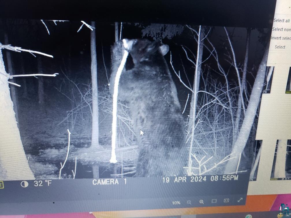 0 North Olson Road Hayward, WI 54843 - Photo 29 of 45