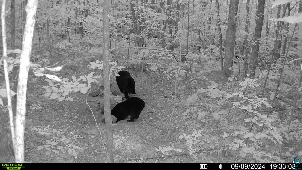 0 North Olson Road Hayward, WI 54843 - Photo 30 of 45