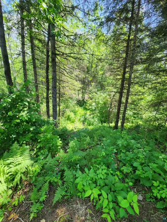 $162,500 | 0 North Olson Road, Hayward, WI 54843