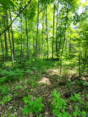 $162,500 | 0 North Olson Road, Hayward, WI 54843
