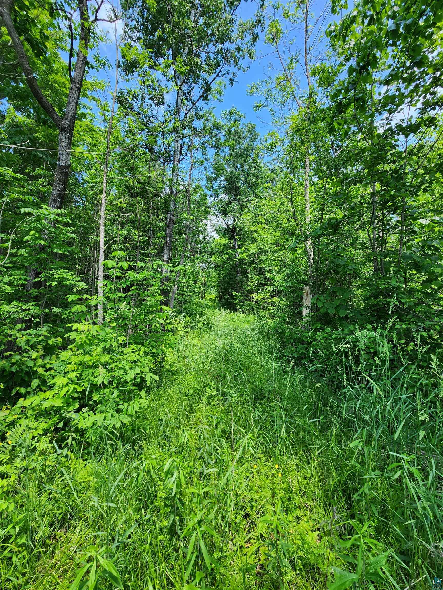 0 North Olson Road Hayward, WI 54843 - Photo 33 of 45