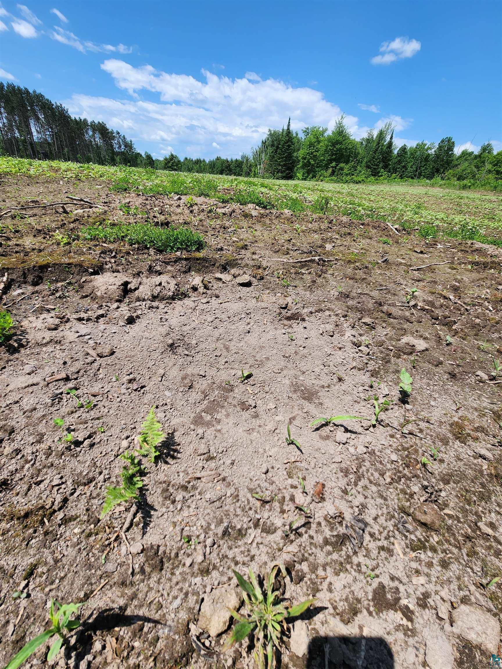 0 North Olson Road Hayward, WI 54843 - Photo 34 of 45