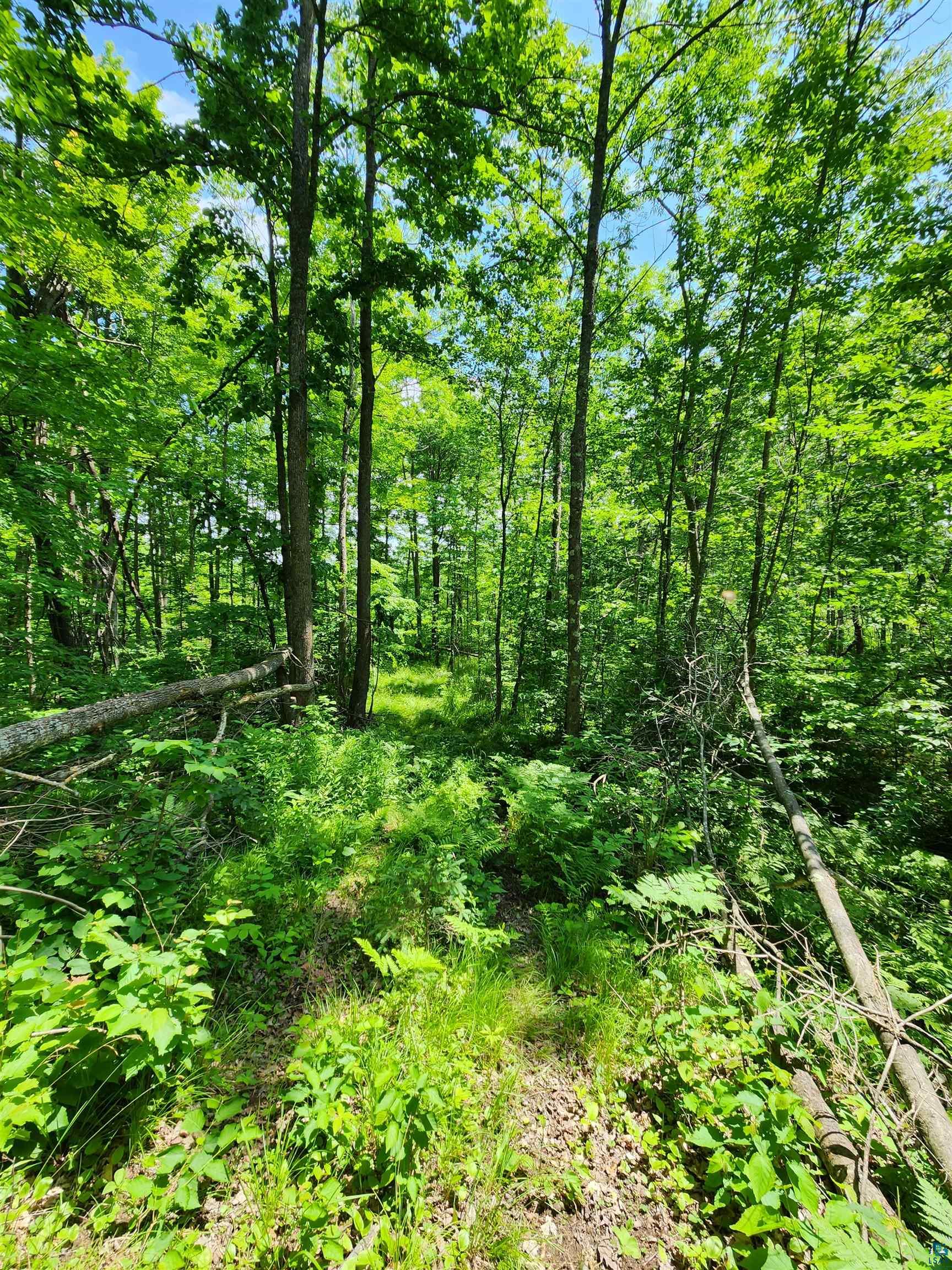 0 North Olson Road Hayward, WI 54843 - Photo 35 of 45