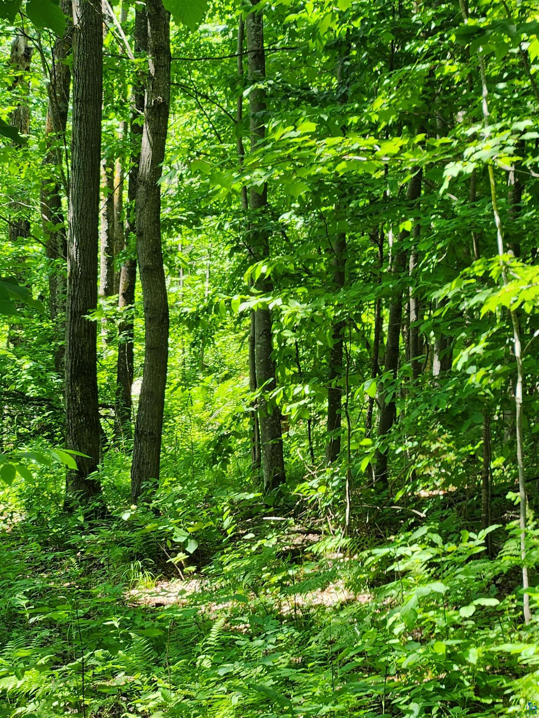 0 North Olson Road Hayward, WI 54843 - Photo 36 of 45