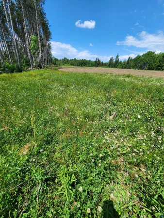 $162,500 | 0 North Olson Road, Hayward, WI 54843