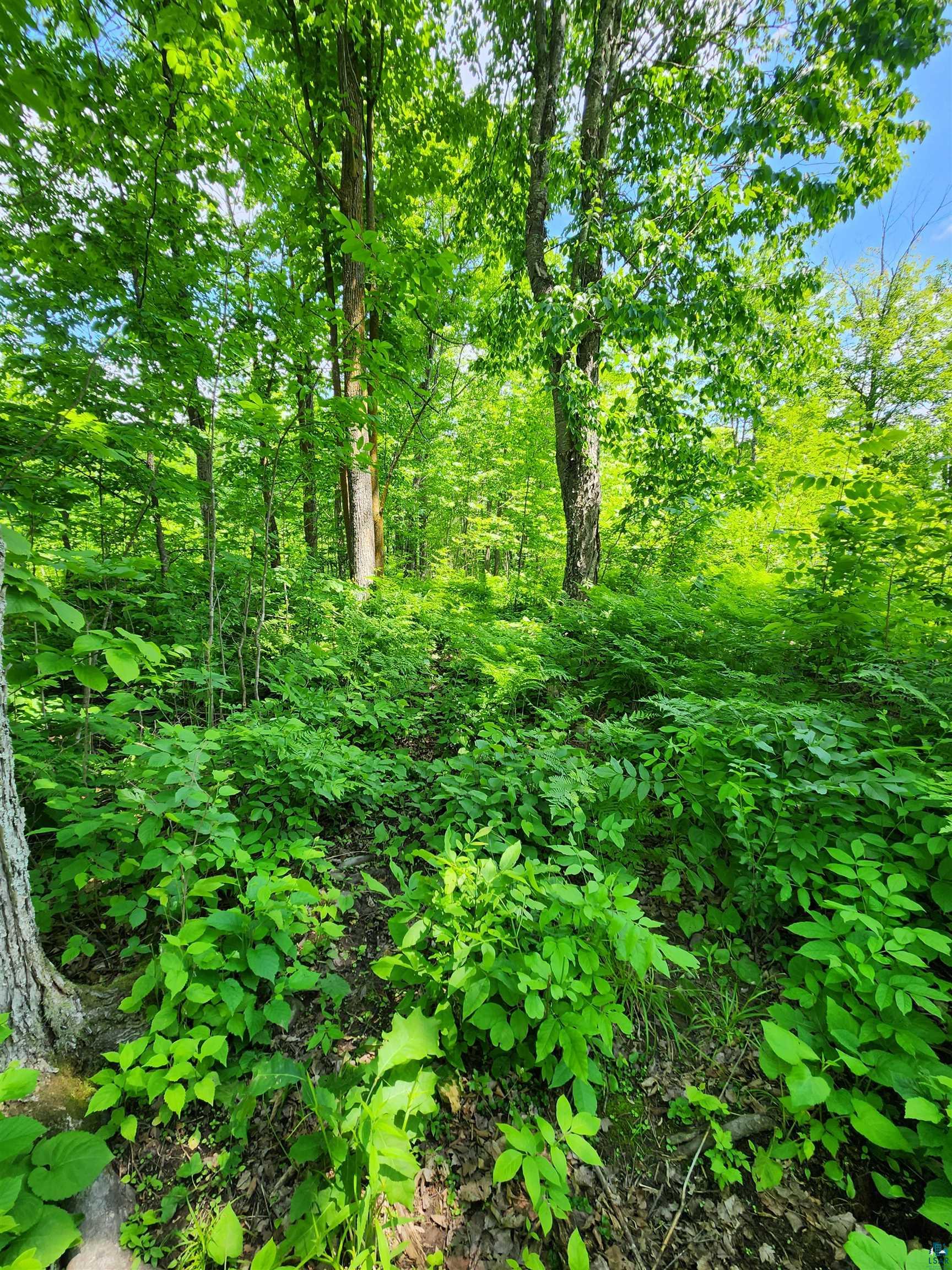 0 North Olson Road Hayward, WI 54843 - Photo 41 of 45