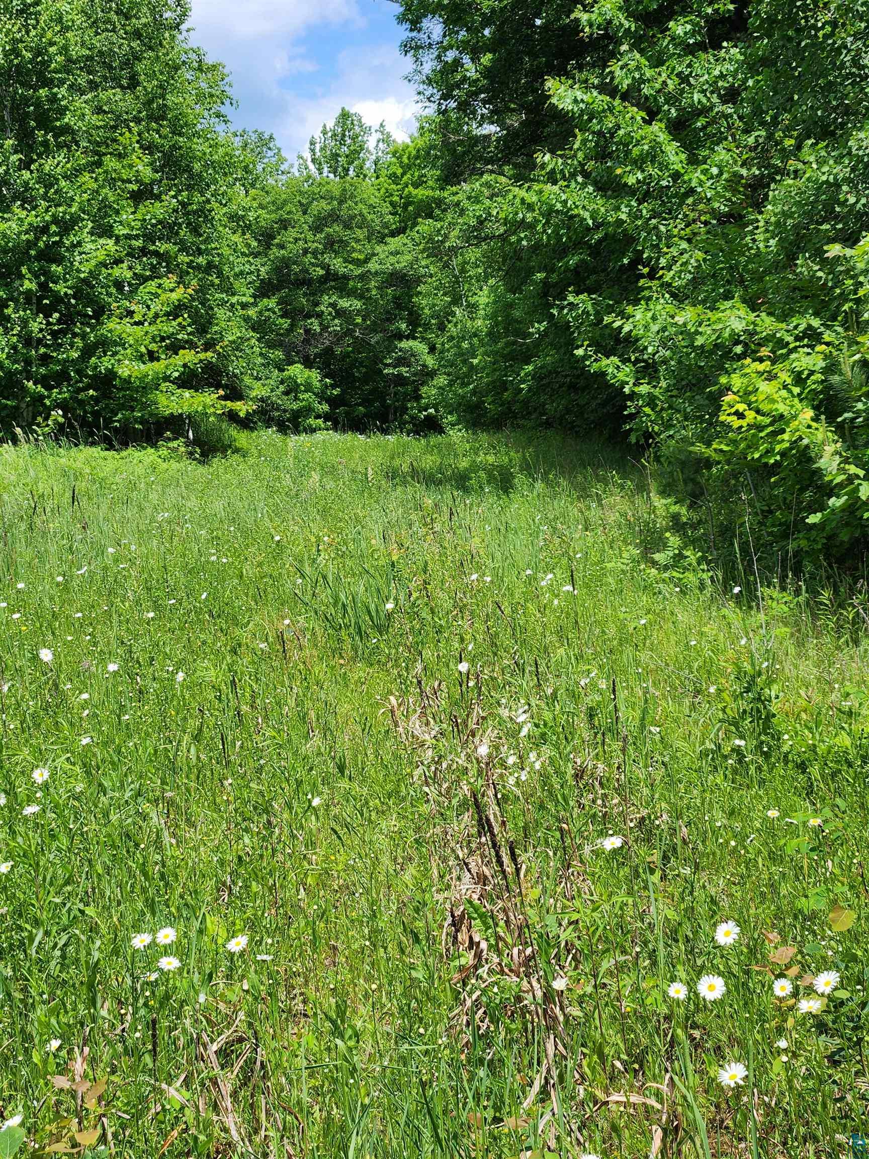 0 North Olson Road Hayward, WI 54843 - Photo 43 of 45