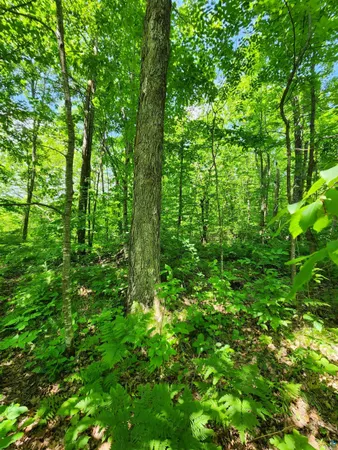 $162,500 | 0 North Olson Road, Hayward, WI 54843