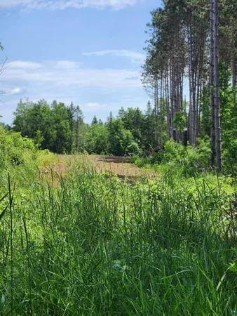 $162,500 | 0 North Olson Road, Hayward, WI 54843
