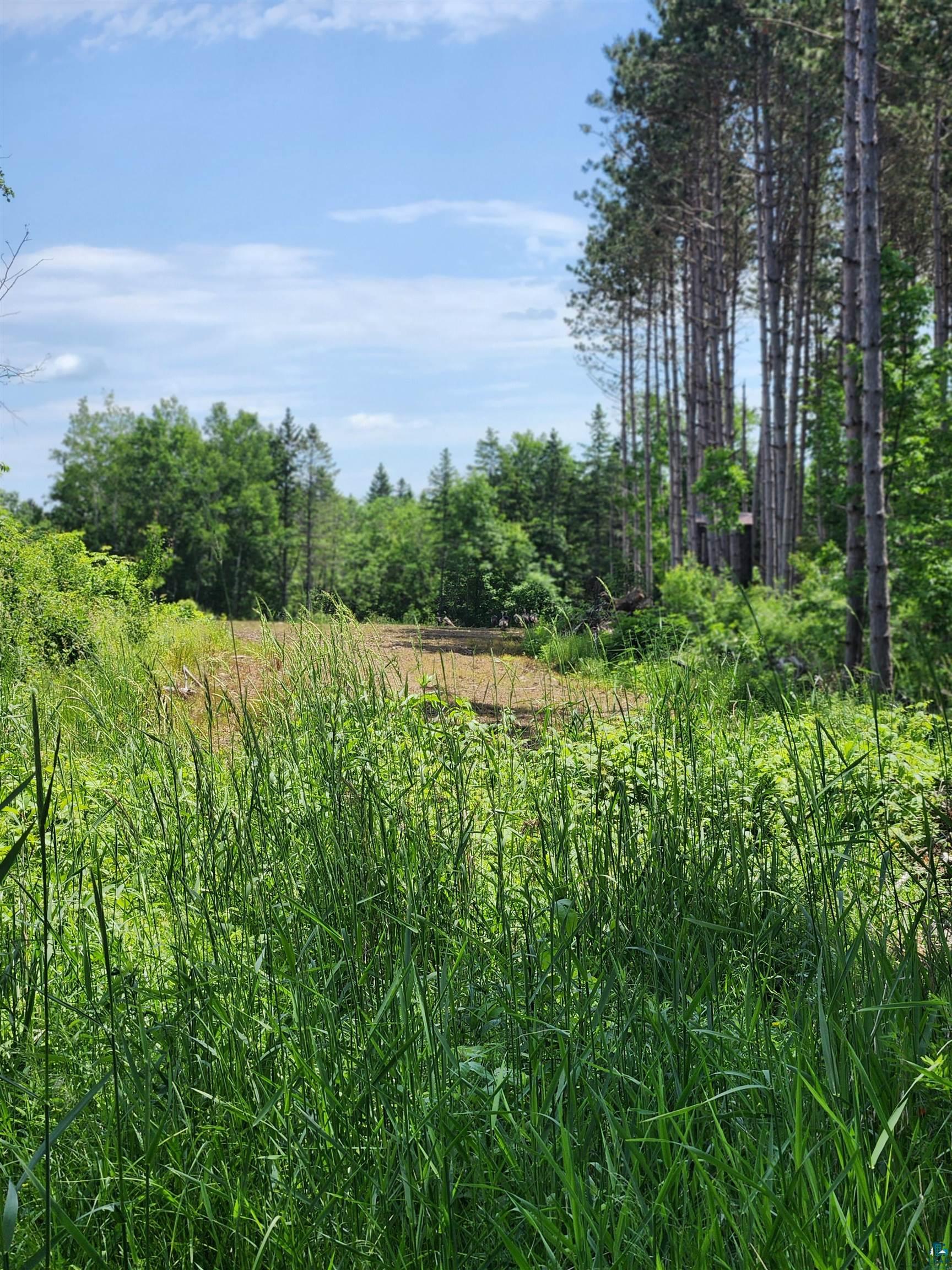 0 North Olson Road Hayward, WI 54843 - Photo 5 of 45