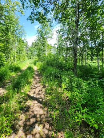 $162,500 | 0 North Olson Road, Hayward, WI 54843