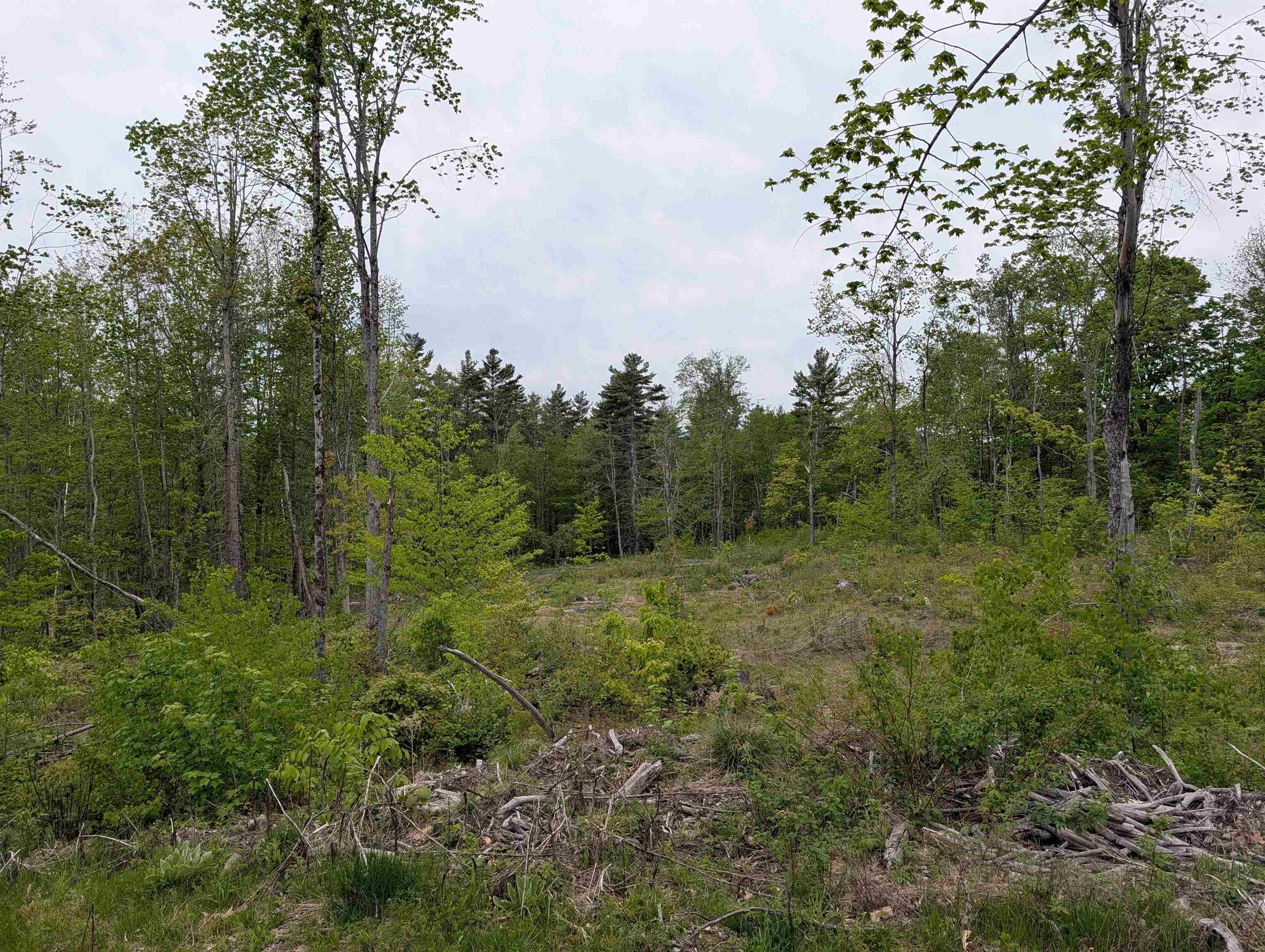 367 Height Of Land Road Grafton, NH 03240 - Photo 3 of 6