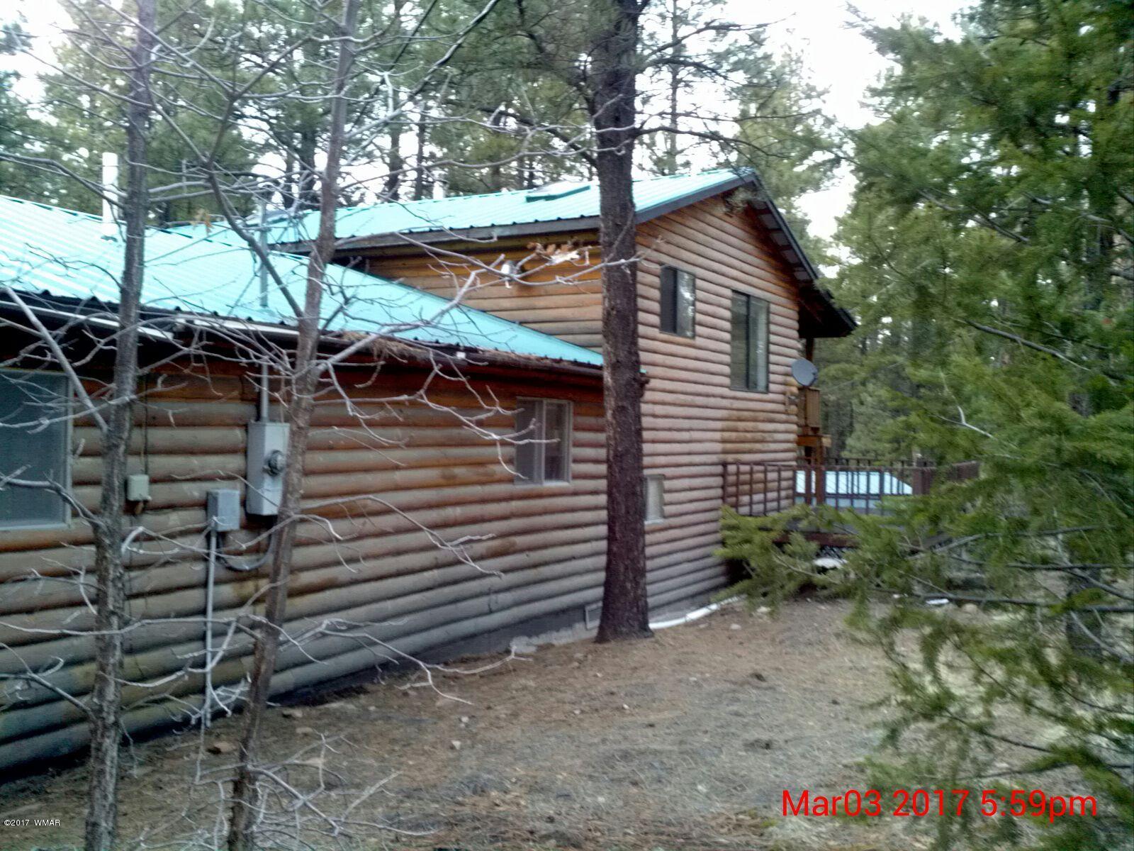 18 County Road Alpine, AZ 85920 - Photo 2 of 9