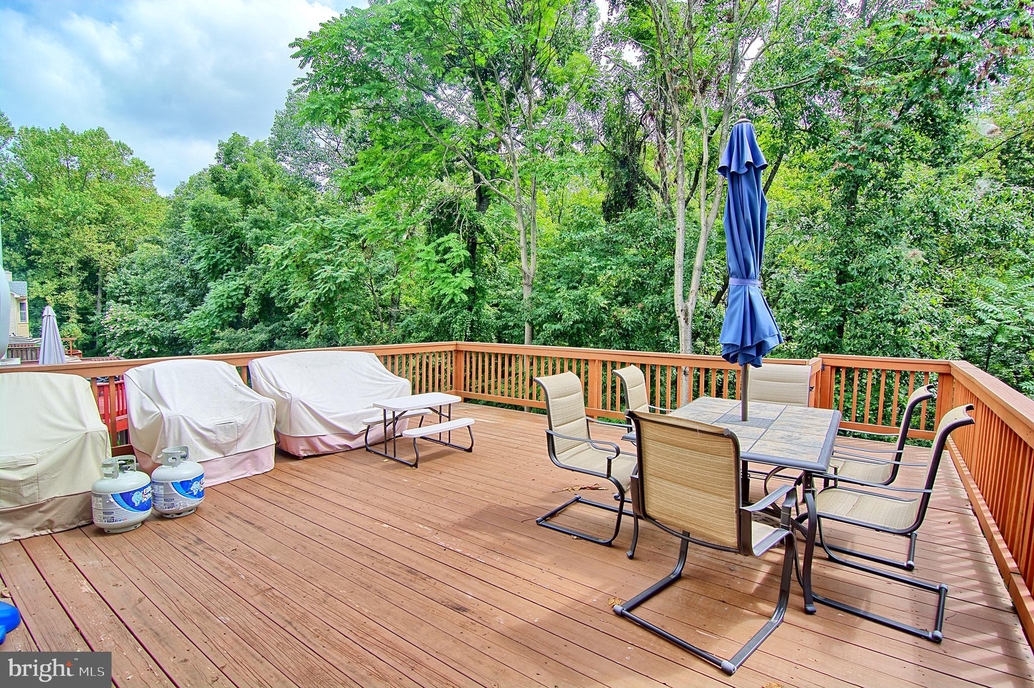 2733 Quarry Heights Way Baltimore, MD 21209 - Photo 18 of 38 Over-sized Deck Backs to Woods