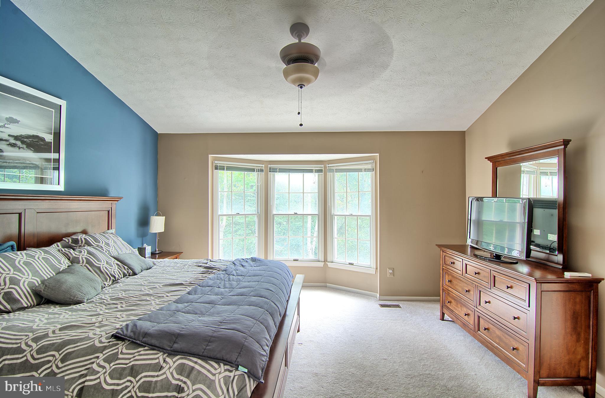 2733 Quarry Heights Way Baltimore, MD 21209 - Photo 20 of 38 Master Bedroom w/ Vaulted Ceiling and Walk-in